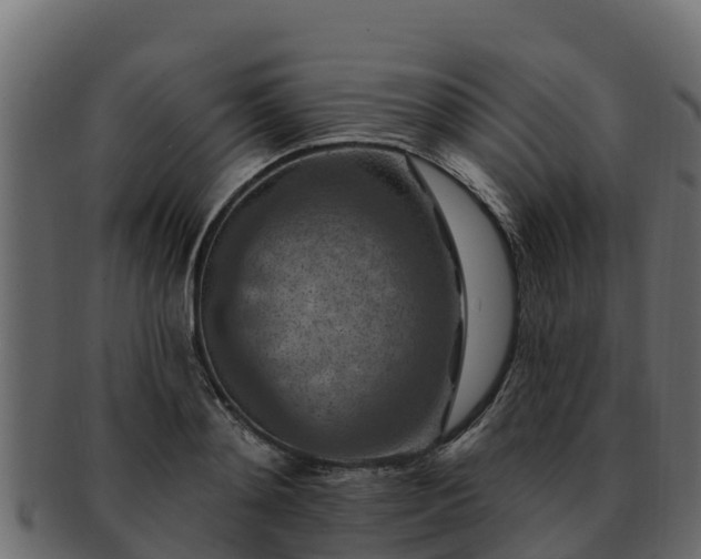 X0000092280892200710041409