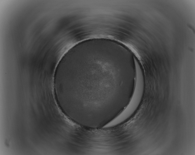 X0000092280895200710041408