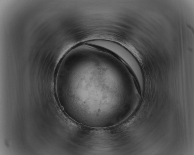 X0000092280896200710041408