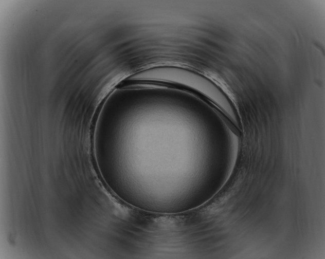 X0000092280898200710041408