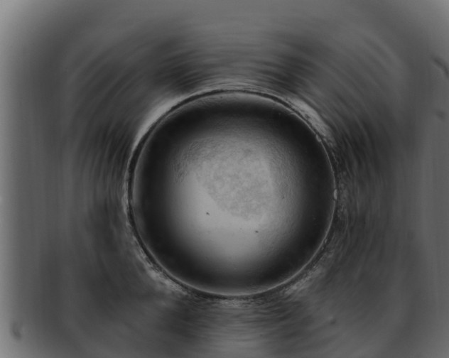 X0000092280904200710041408