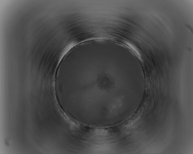 X0000092280907200710041408