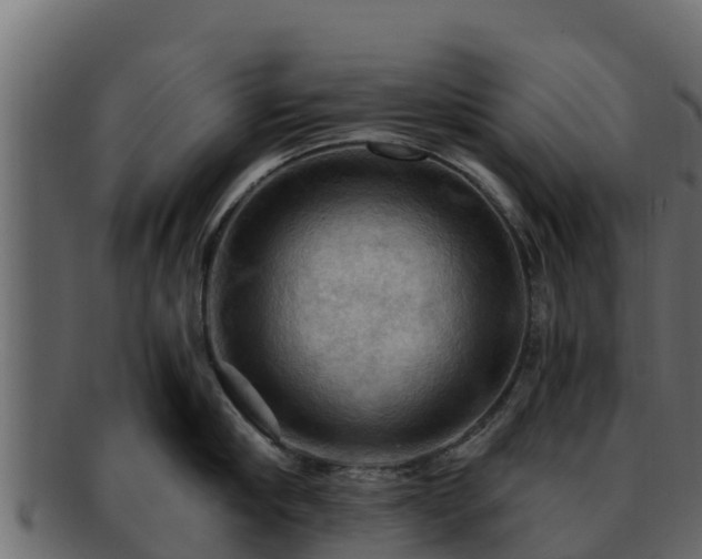 X0000092280910200710041408