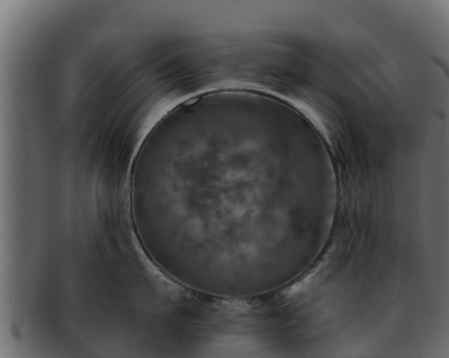 X0000092280911200710041408