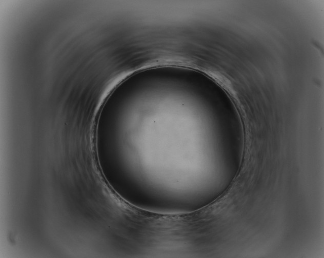 X0000092280912200710041408