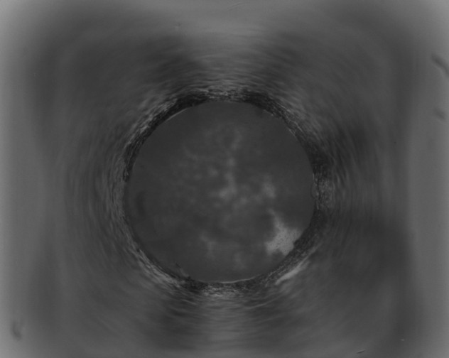 X0000092280913200710041408