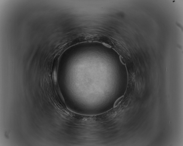 X0000092280914200710041408