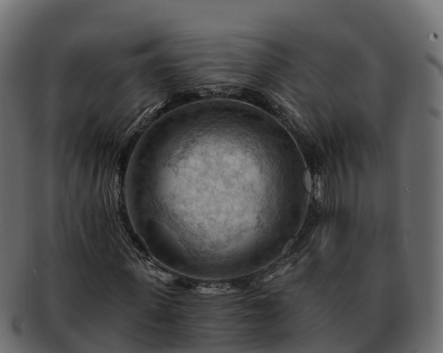 X0000092280915200710041408