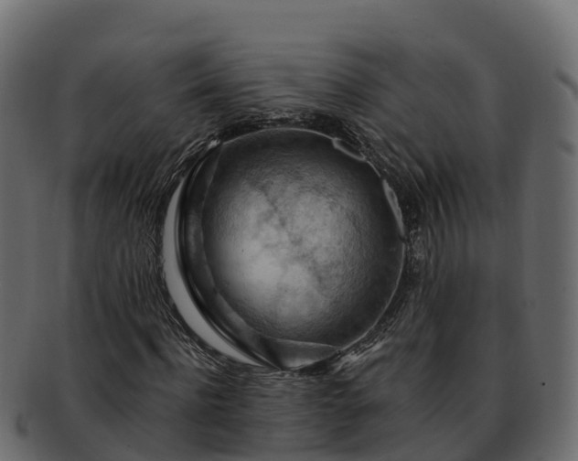 X0000092280916200710041408