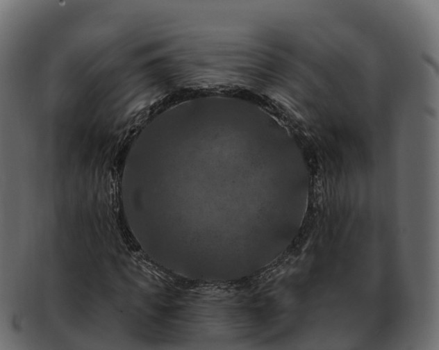 X0000092280917200710041408