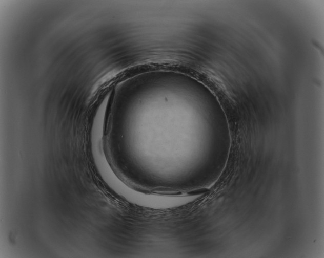 X0000092280920200710041408