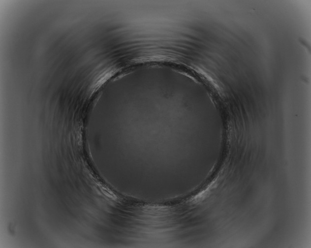 X0000092280921200710041408