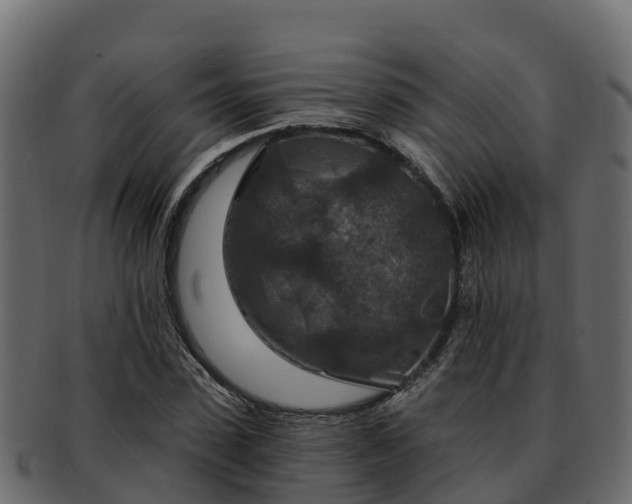 X0000092280923200710041408