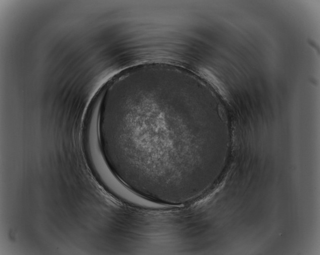 X0000092280924200710041408