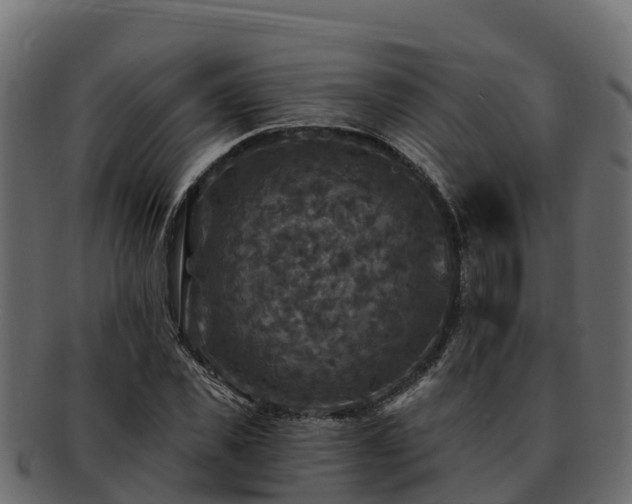 X0000092280925200710041408