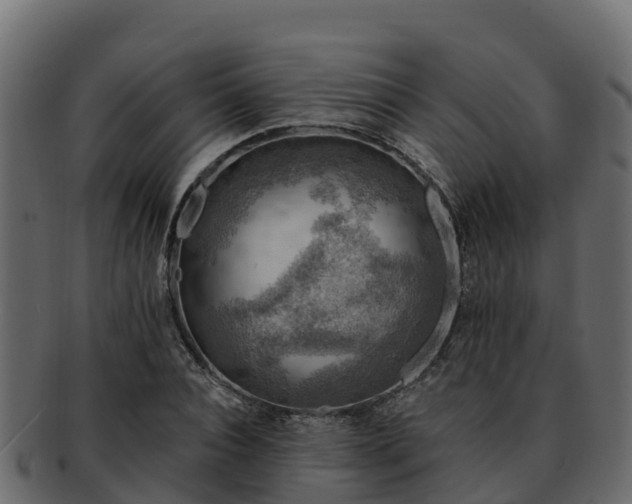 X0000092280928200710041408