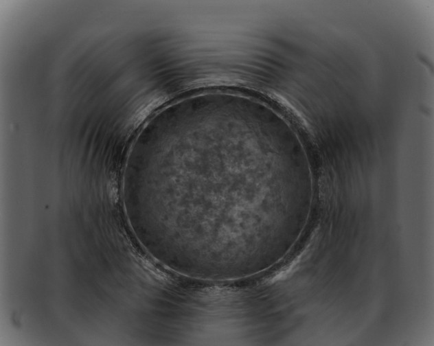 X0000092280929200710041408