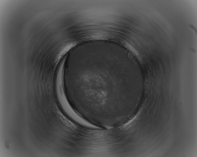 X0000092280930200710041408