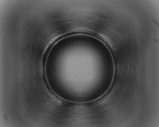 X0000092280931200710041408