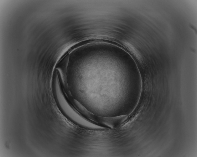 X0000092280932200710041408