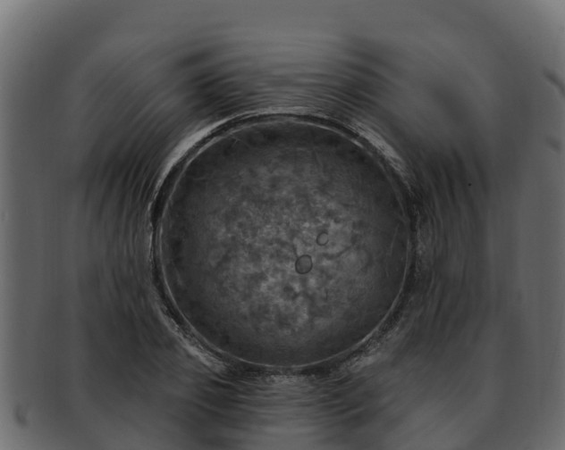 X0000092280933200710041408