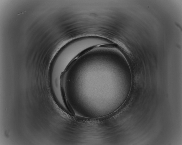 X0000092280934200710041408