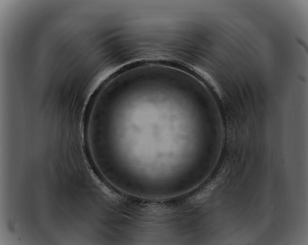 X0000092280935200710041408