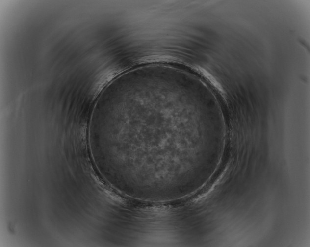 X0000092280937200710041408