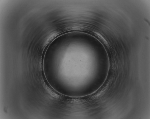 X0000092280938200710041408