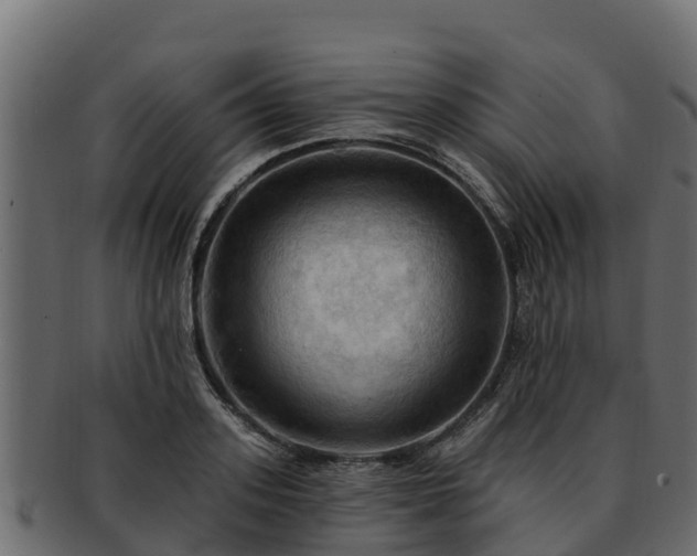 X0000092280939200710041408