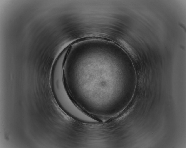 X0000092280940200710041408