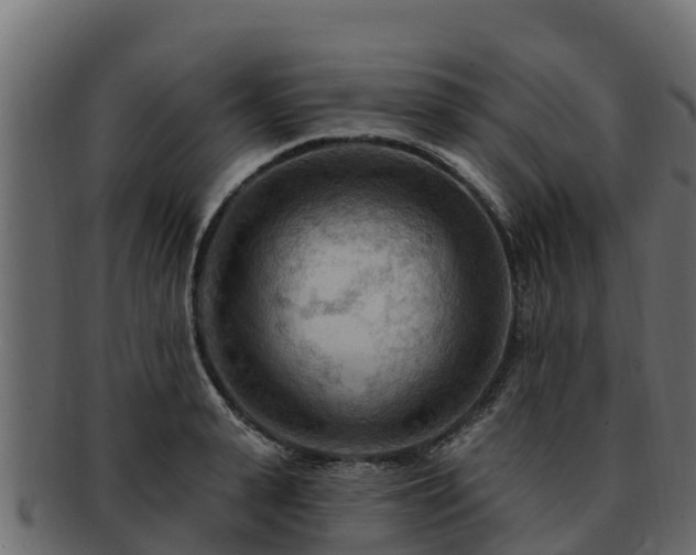 X0000092280943200710041408