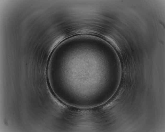 X0000092280946200710041408