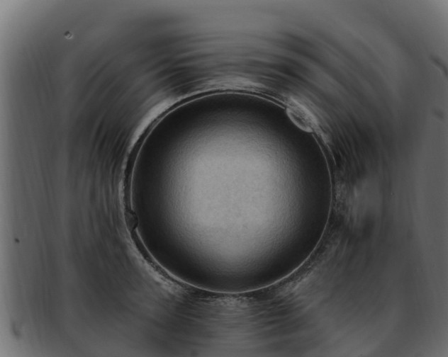 X0000092280947200710041408