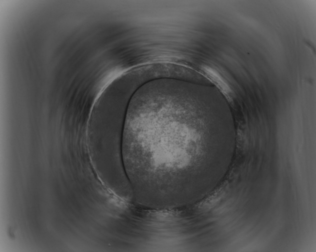 X0000092280948200710041408