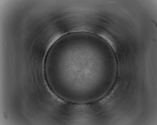 X0000092280949200710041408