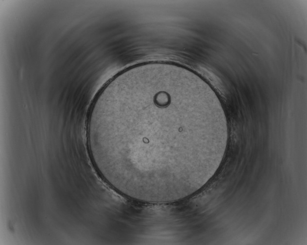 X0000092280950200710041408