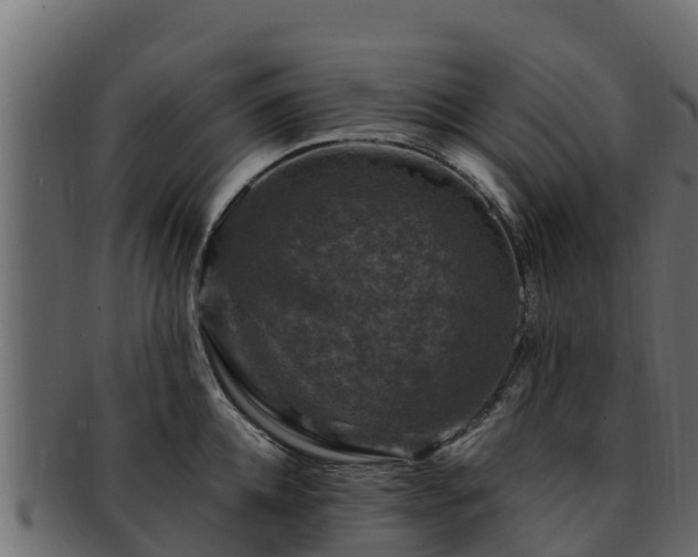 X0000092280952200710041408