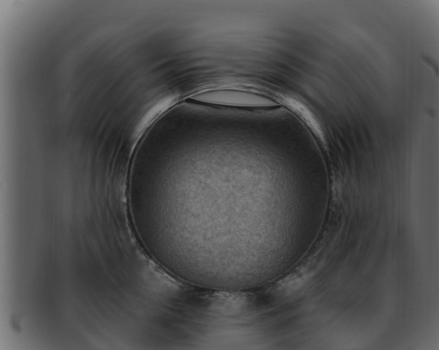 X0000092280954200710041408