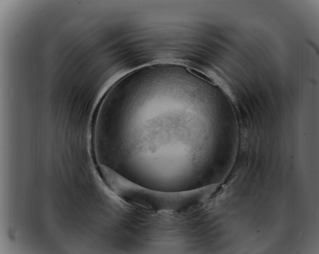 X0000092280955200710041408