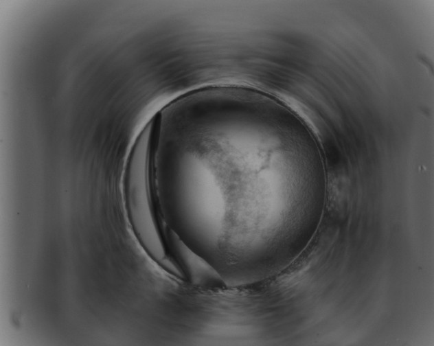 X0000092280959200710041408