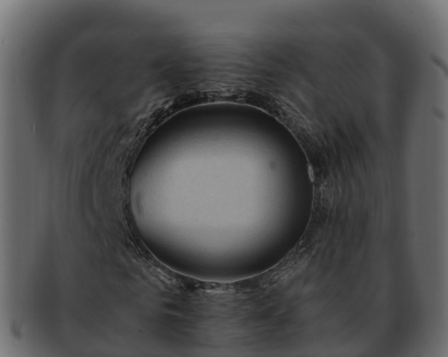 X0000092280961200710041408