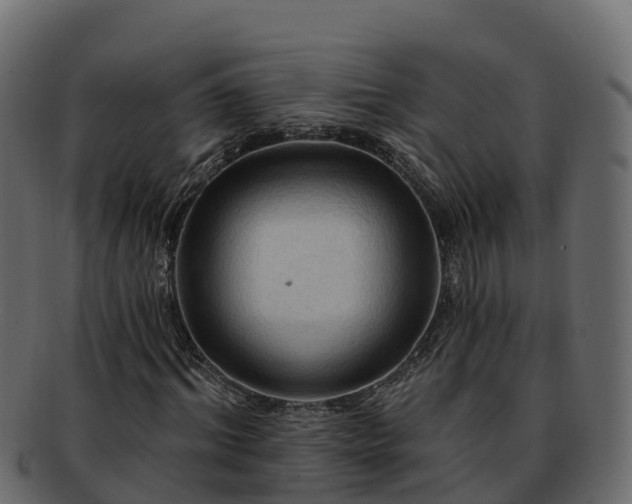 X0000092280964200710041408