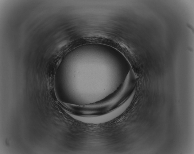 X0000092280965200710041408