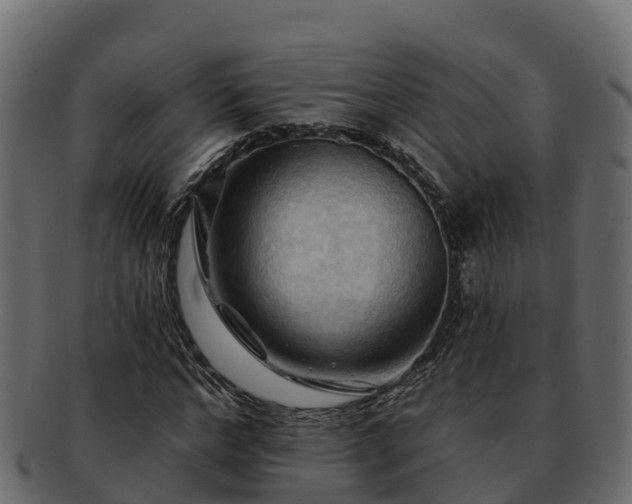 X0000092280968200710041408