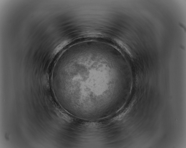 X0000092280970200710041408