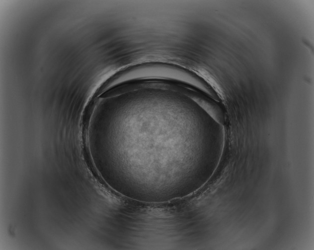 X0000092280976200710041408