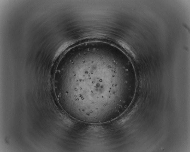 X0000092280978200710041408