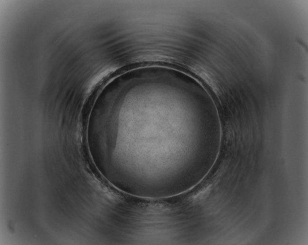 X0000092280979200710041408