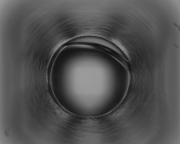 X0000092280980200710041407